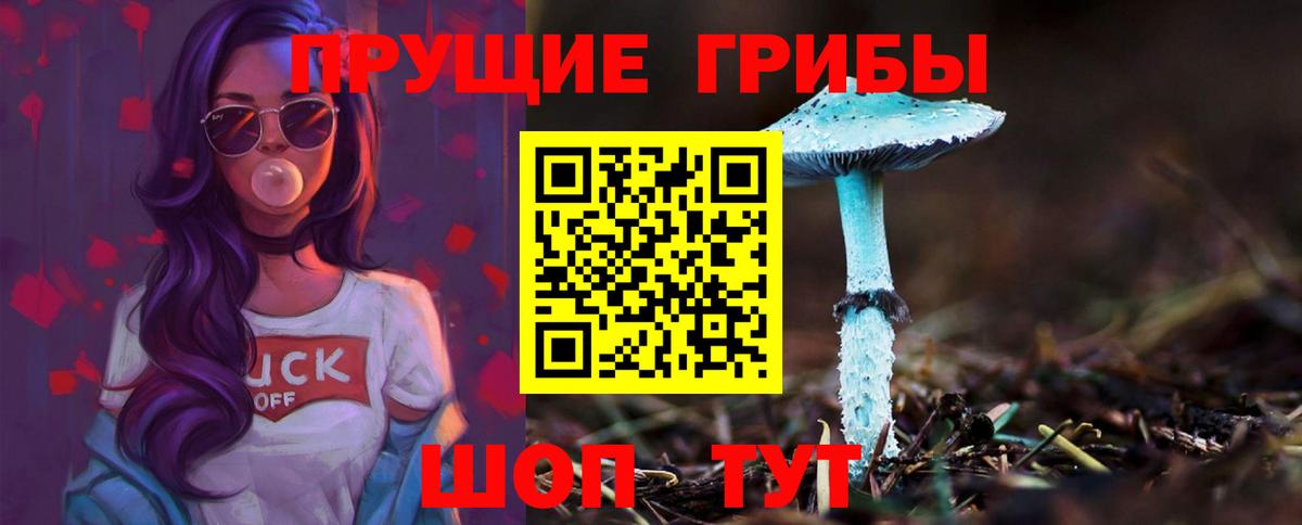 Усинск  Псилоцибиновые грибы мухоморы  Вход с VPN 